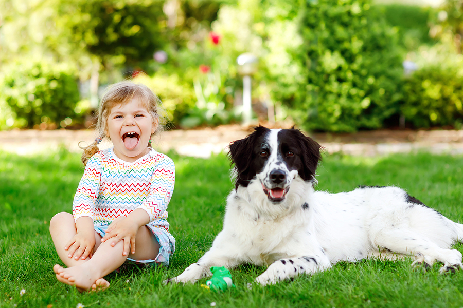 Pediatric Dentistry: 5 Facts To Consider